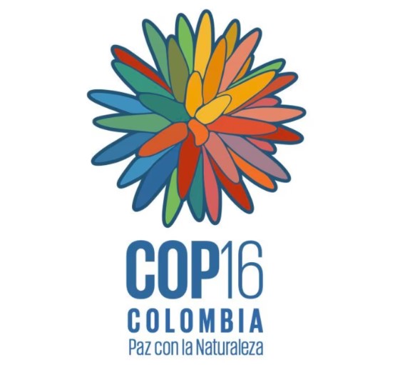 COP 16