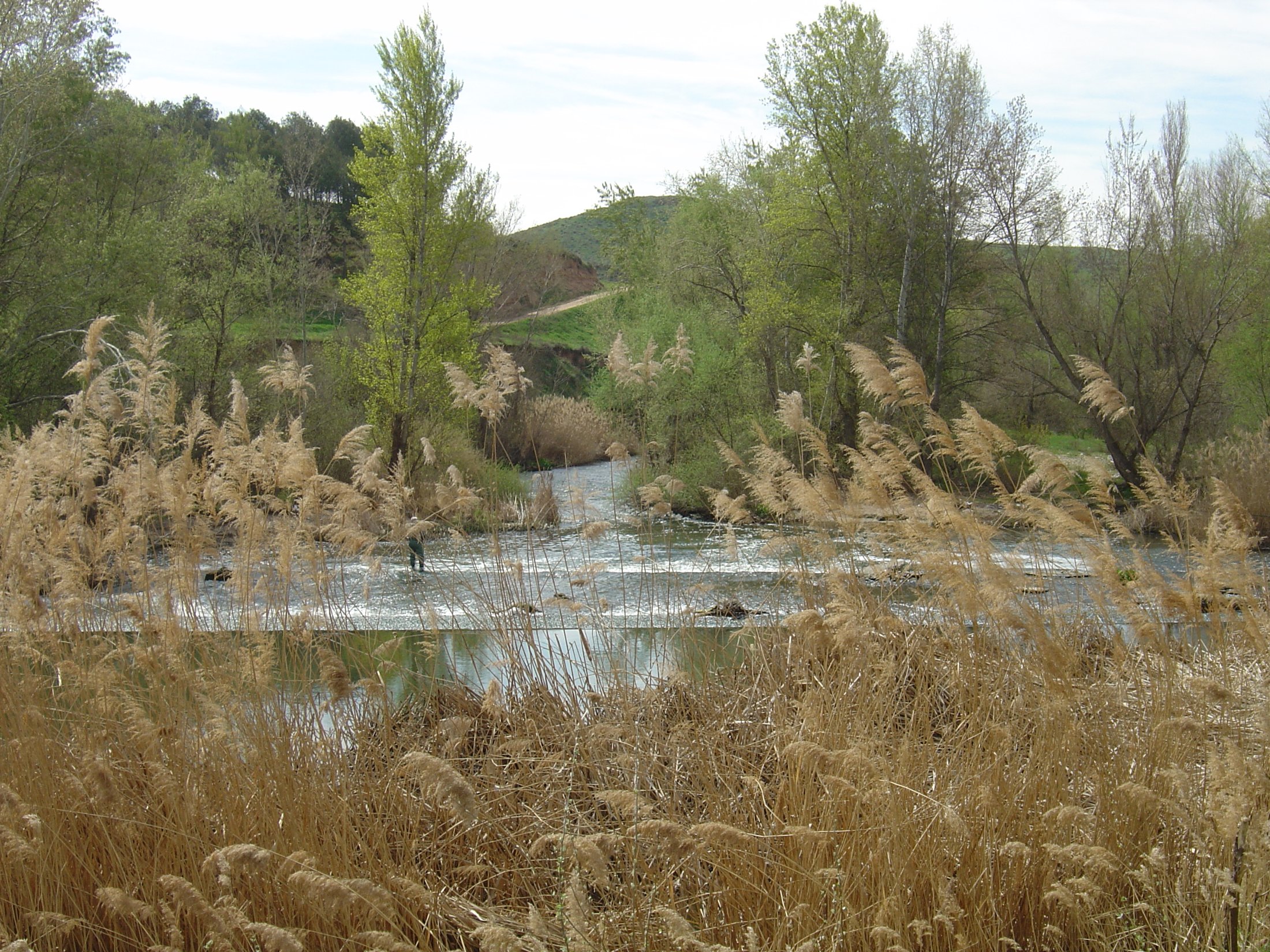 Alcalá de Henares, Madrid