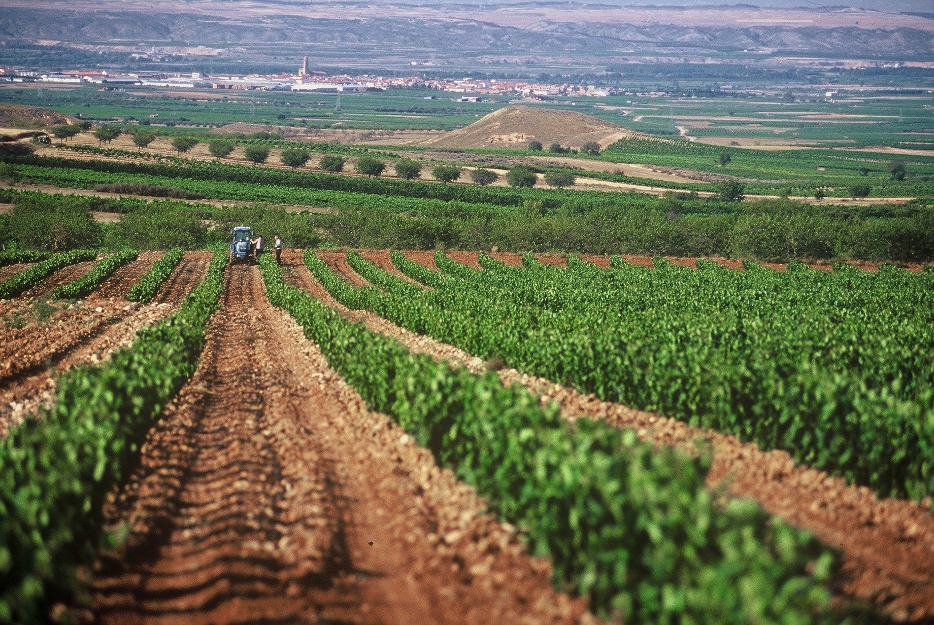 Aldeanueva de Ebro, La Rioja
