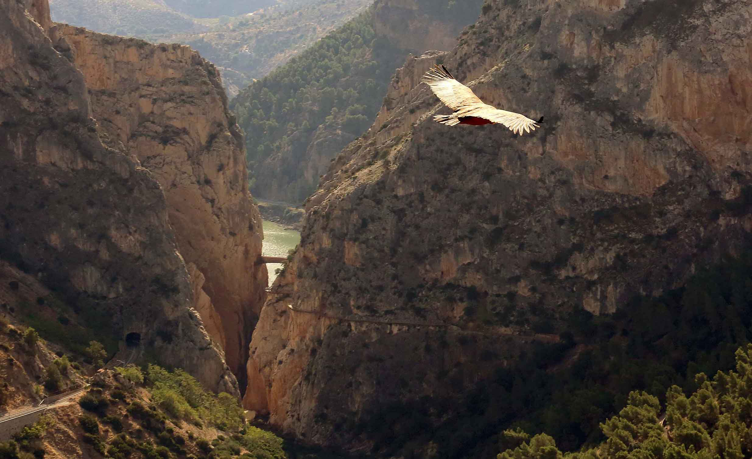 Diputación Provincial de Málaga, Málaga