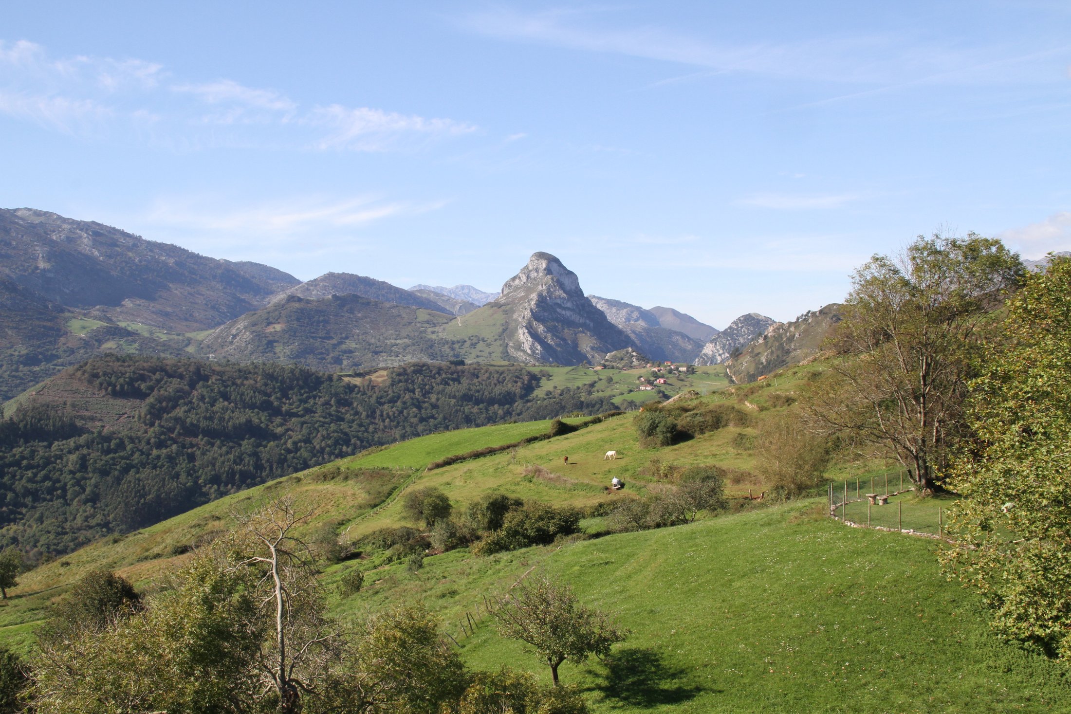 Peñamellera Baja, Asturias
