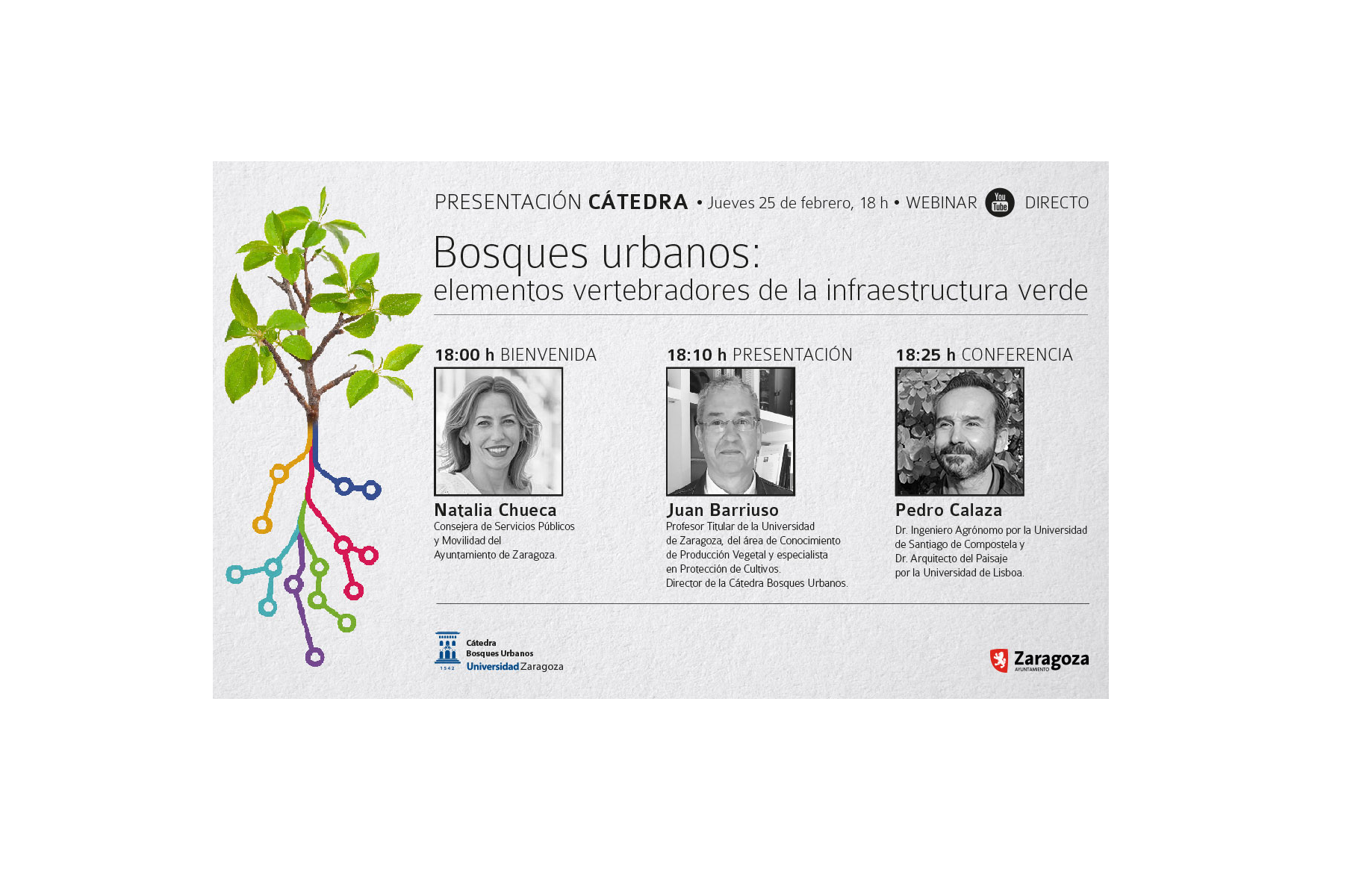 Primera cátedra española dedicada a la infraestructura verde urbana