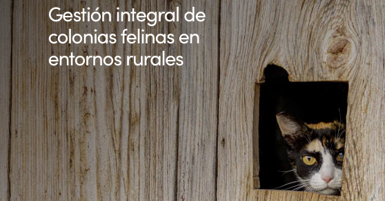 I Jornadas CER RURAL