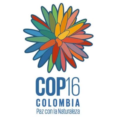 COP 16