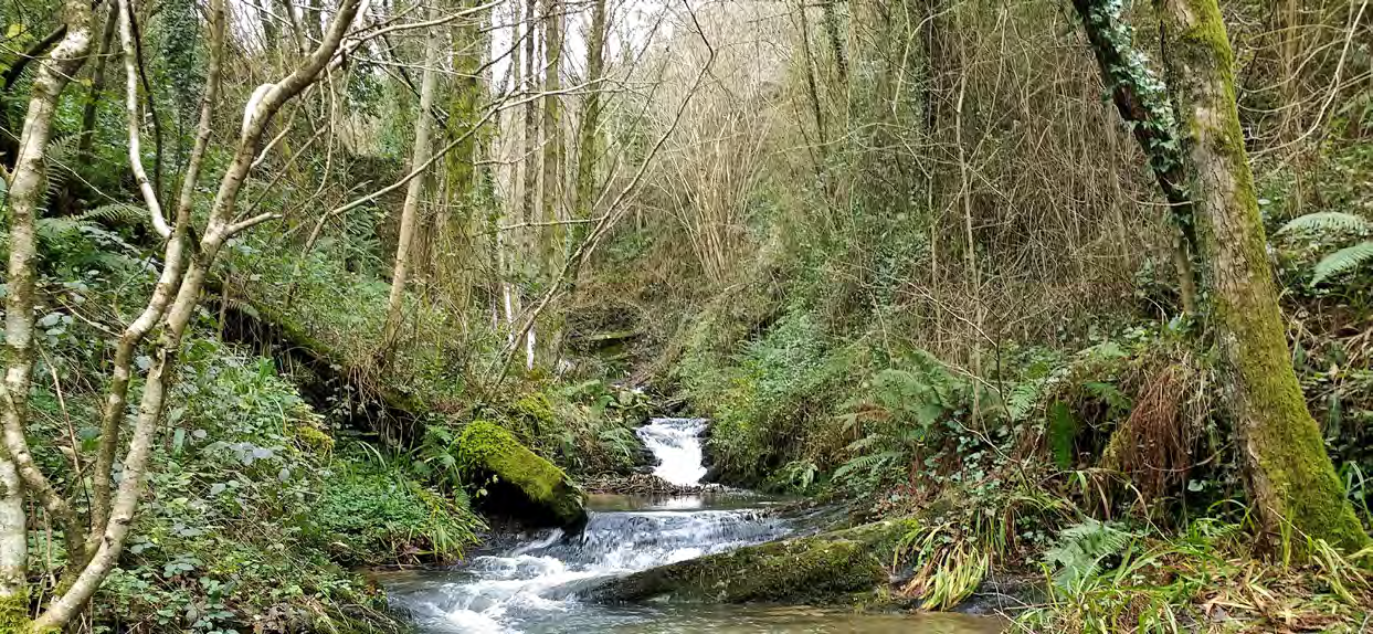 Guia CdT y Cambio Climatico 3