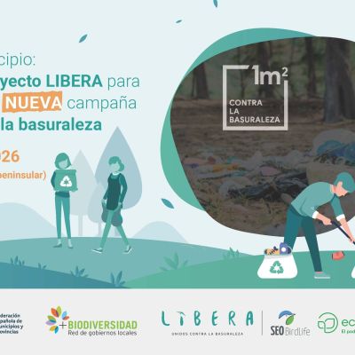 Jornada virtual Libera_imagen