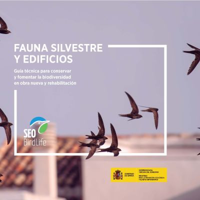 Fauna silvestre y edificios 1