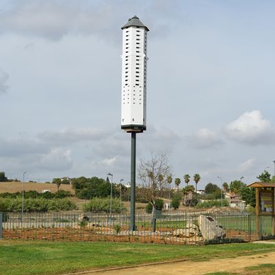 Biodiversidad Ayto de Coria del Río