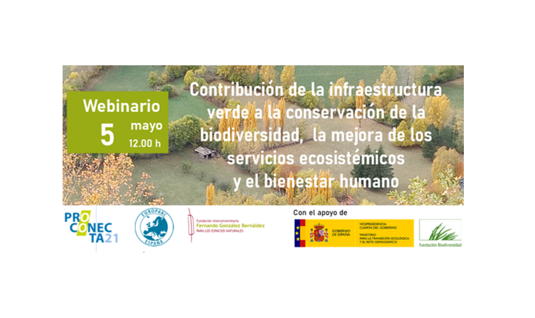 Webinario PROCONECTA 21