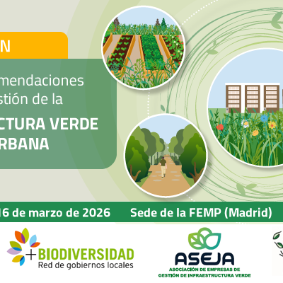 banner_Recomend_IVP_740x400