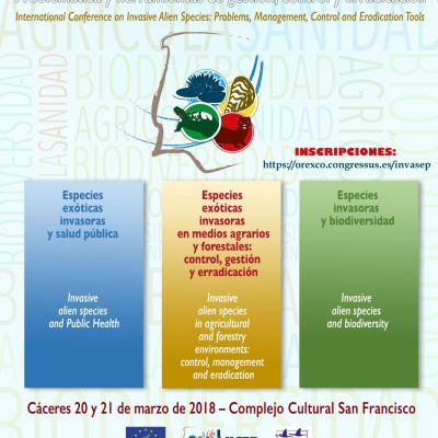 cartel jornadas int eei