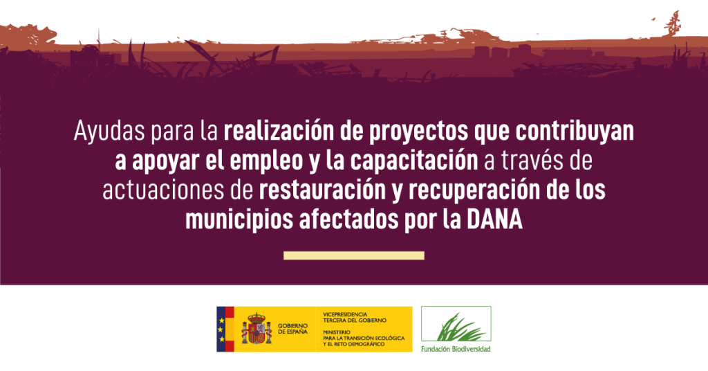 Jornada informativa de la convocatoria de ayudas DANA