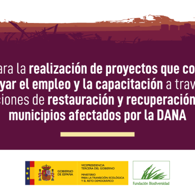 infografia_Dana_0
