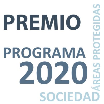 logo 2020 experiencias