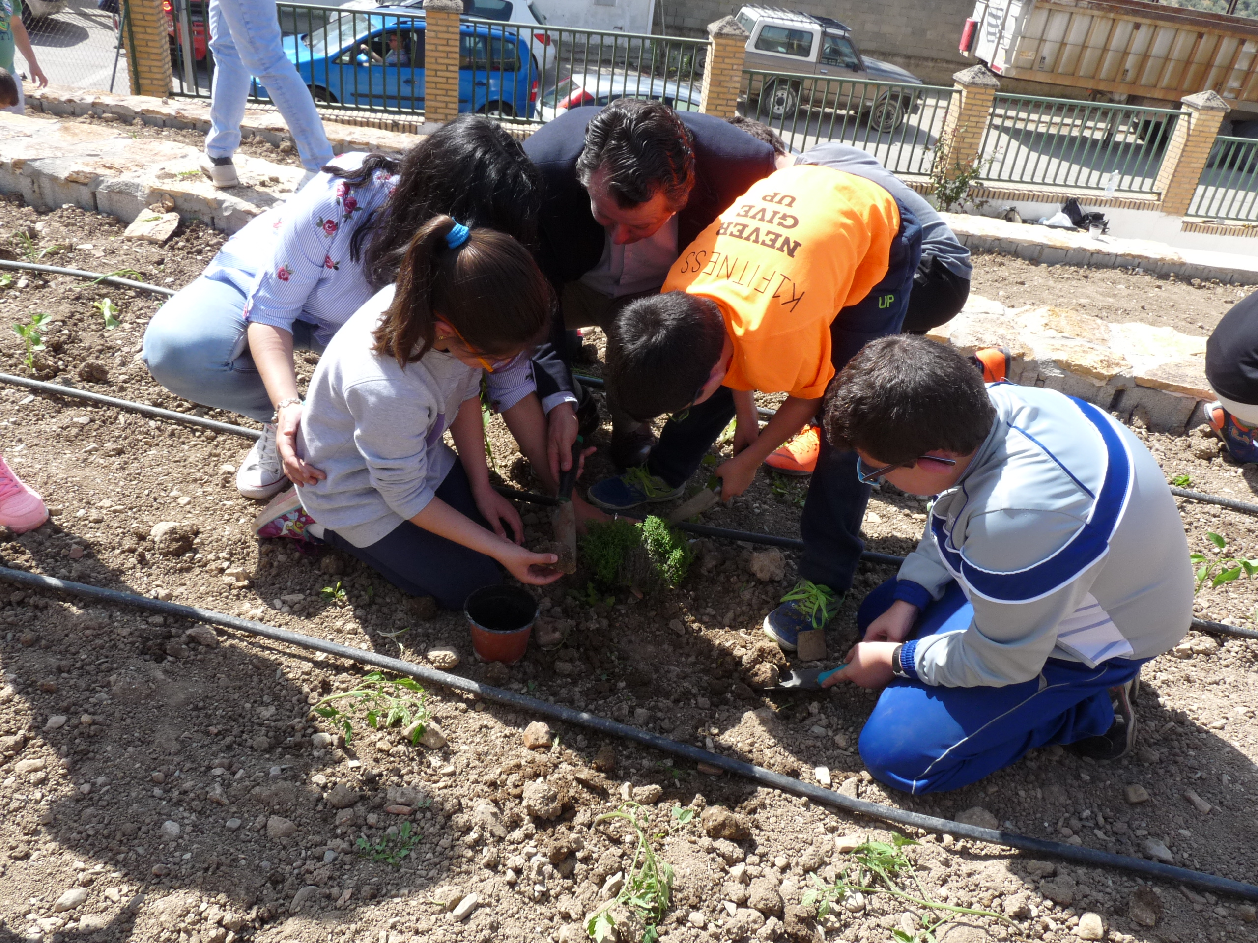 Programa Recrea En Verde 2