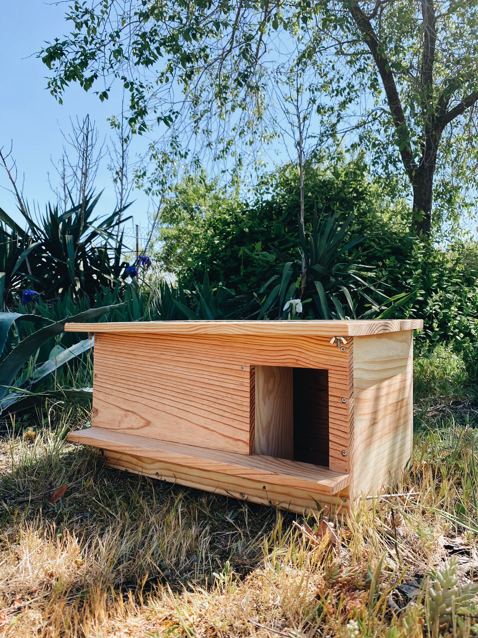 Campaña #AjofrinerosporlaDiversidad 4