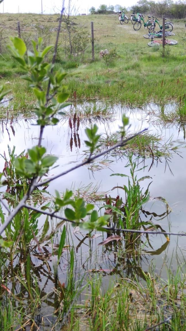 Creación de Micro-reservas de Biodiversidad