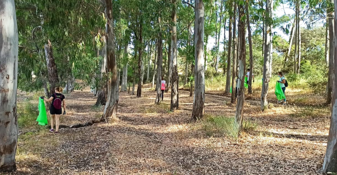 Limpieza en el entorno del pantano Piedra Aguda 6